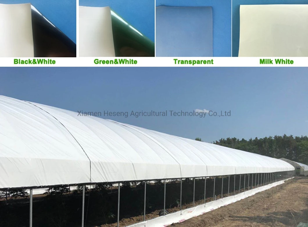 Agricultural Single Span Tunnel Greenhouse Film Polycarbonate USA Canada Nursery Hoops