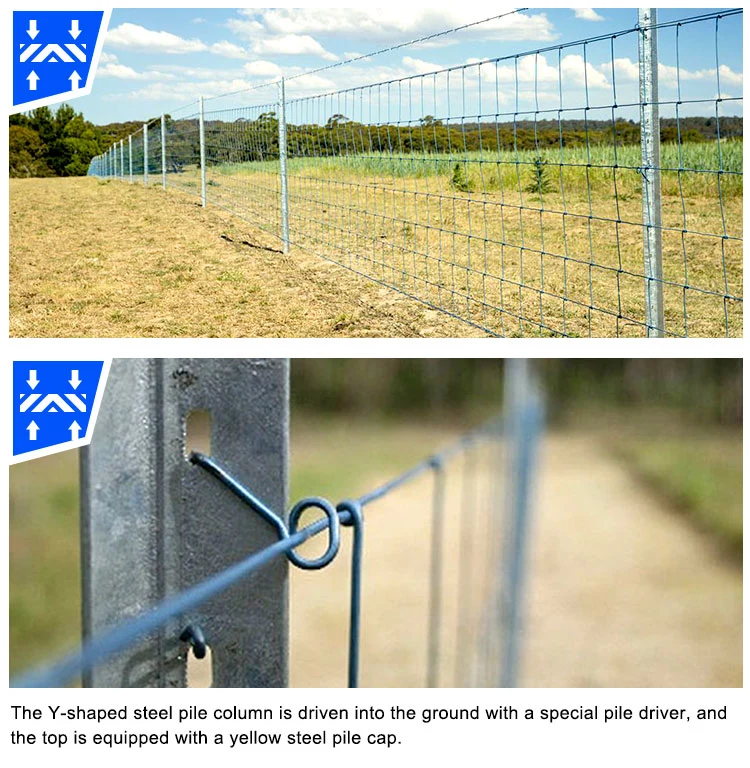 Anti-Rust Surface Heavy Duty Metal Farm Fence Y Post